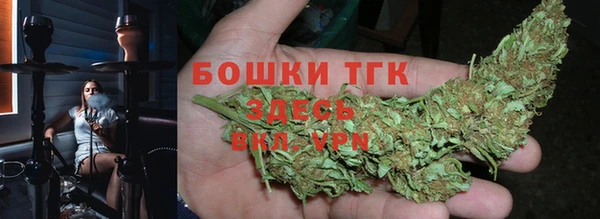 крисы Богданович