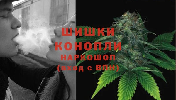 крисы Богданович