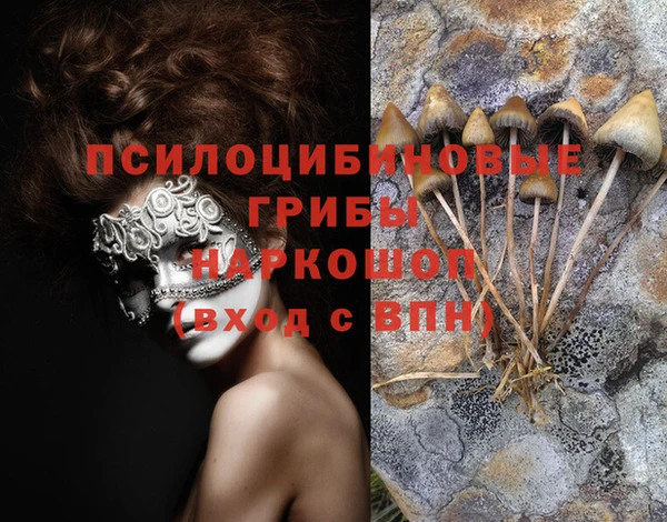 крисы Белоозёрский