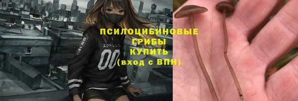 крисы Белоозёрский
