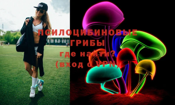 амф Белокуриха