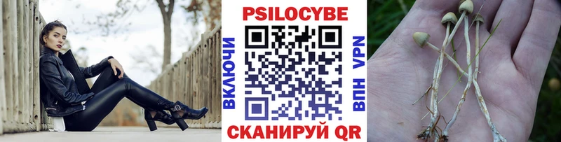 Галлюциногенные грибы GOLDEN TEACHER  darknet телеграм  Колпашево  где найти  